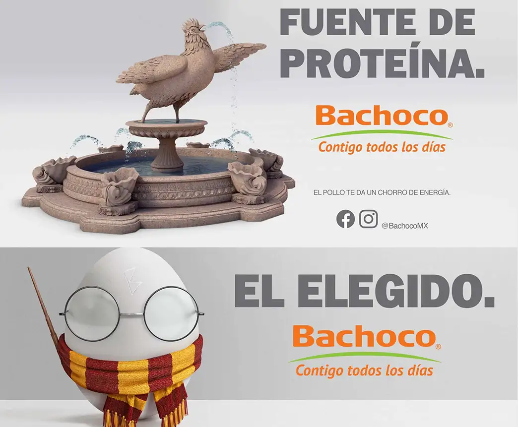 Publicidad Bachoco