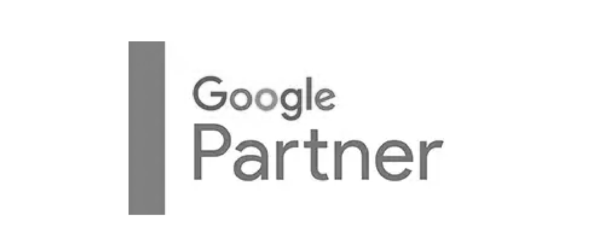 logo google partner 1