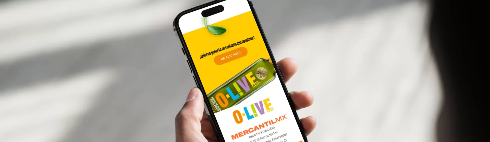 olive web