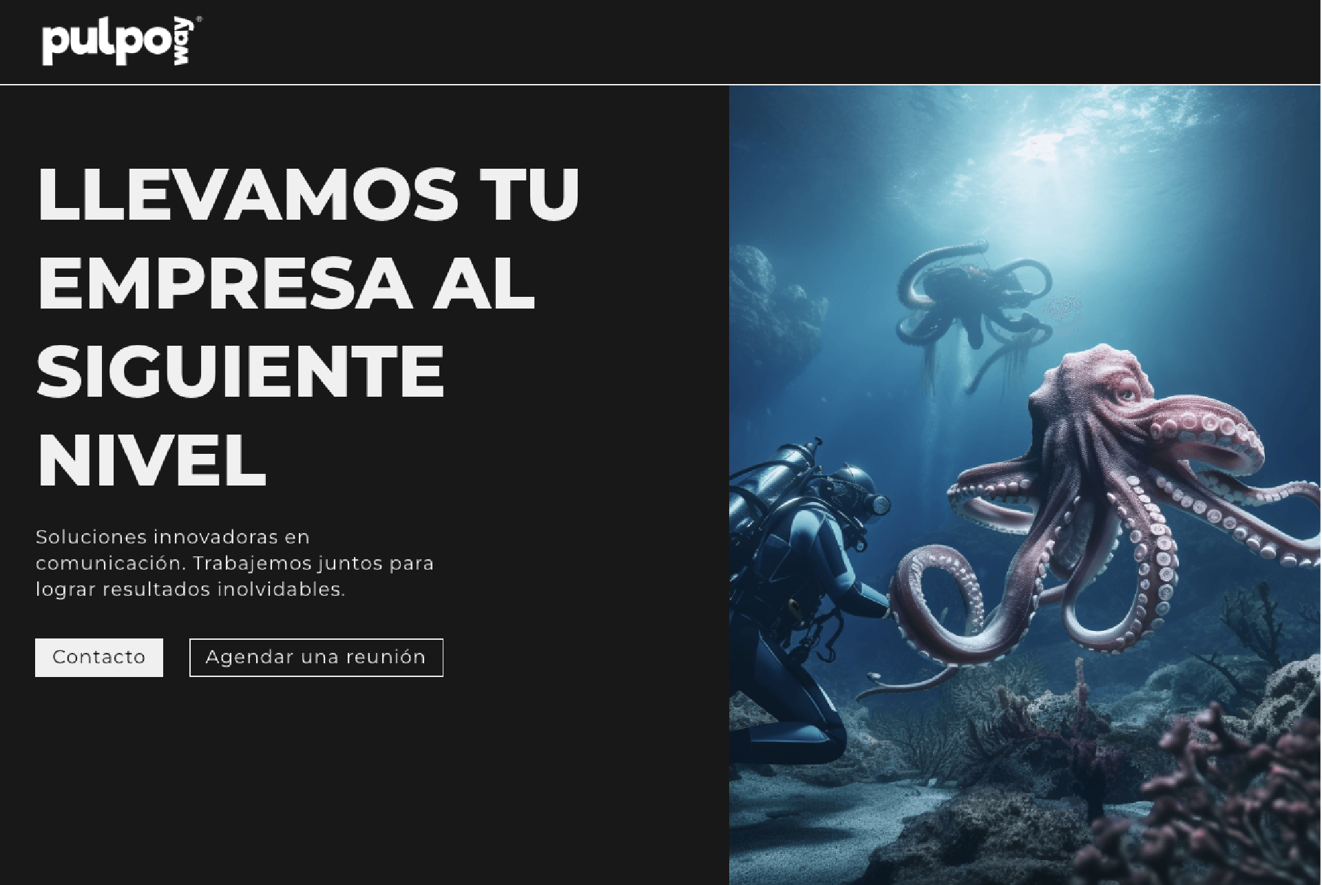 agencia-de-diseño-y-publicidad-pulpo