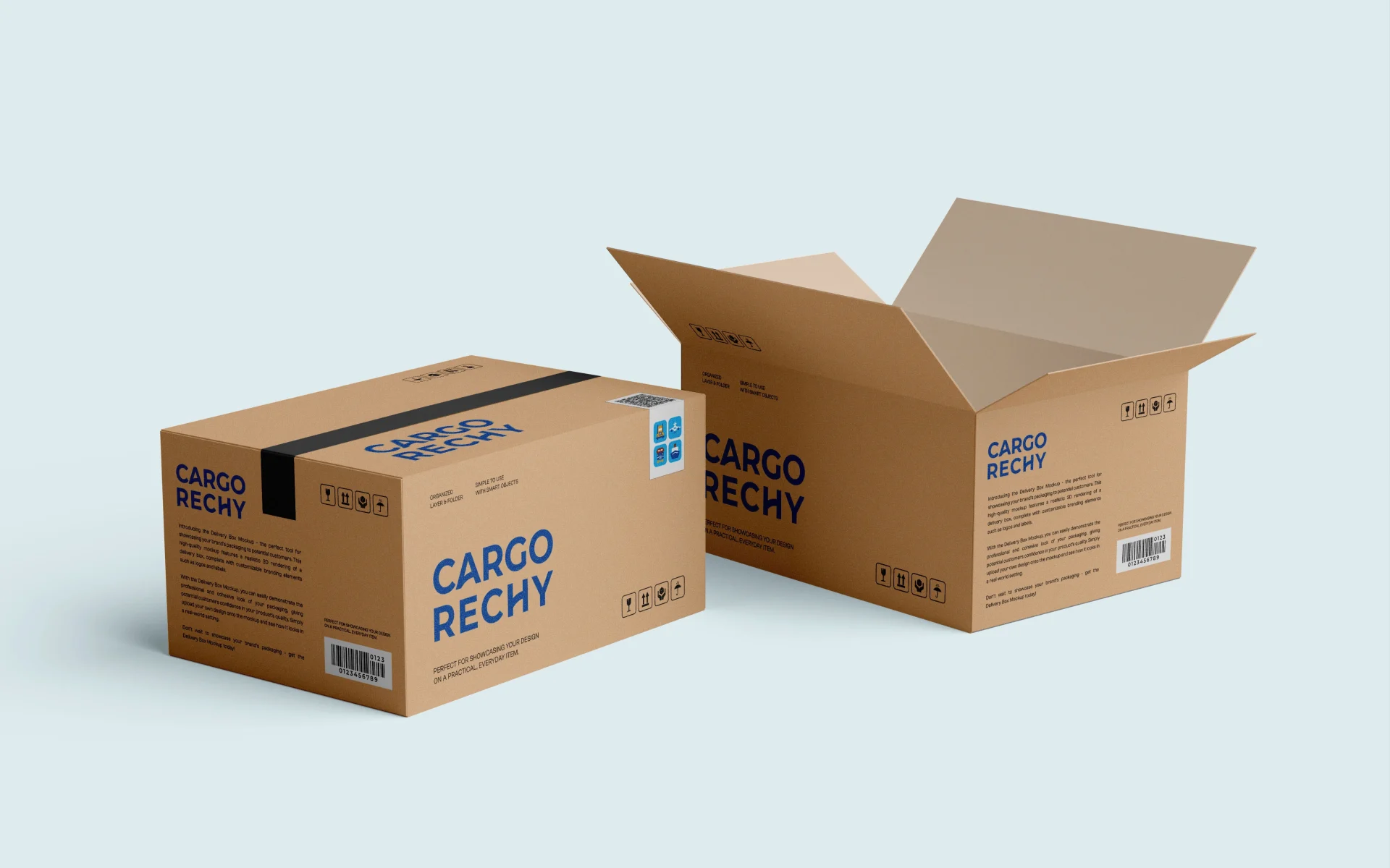 Cargo Rechy 1