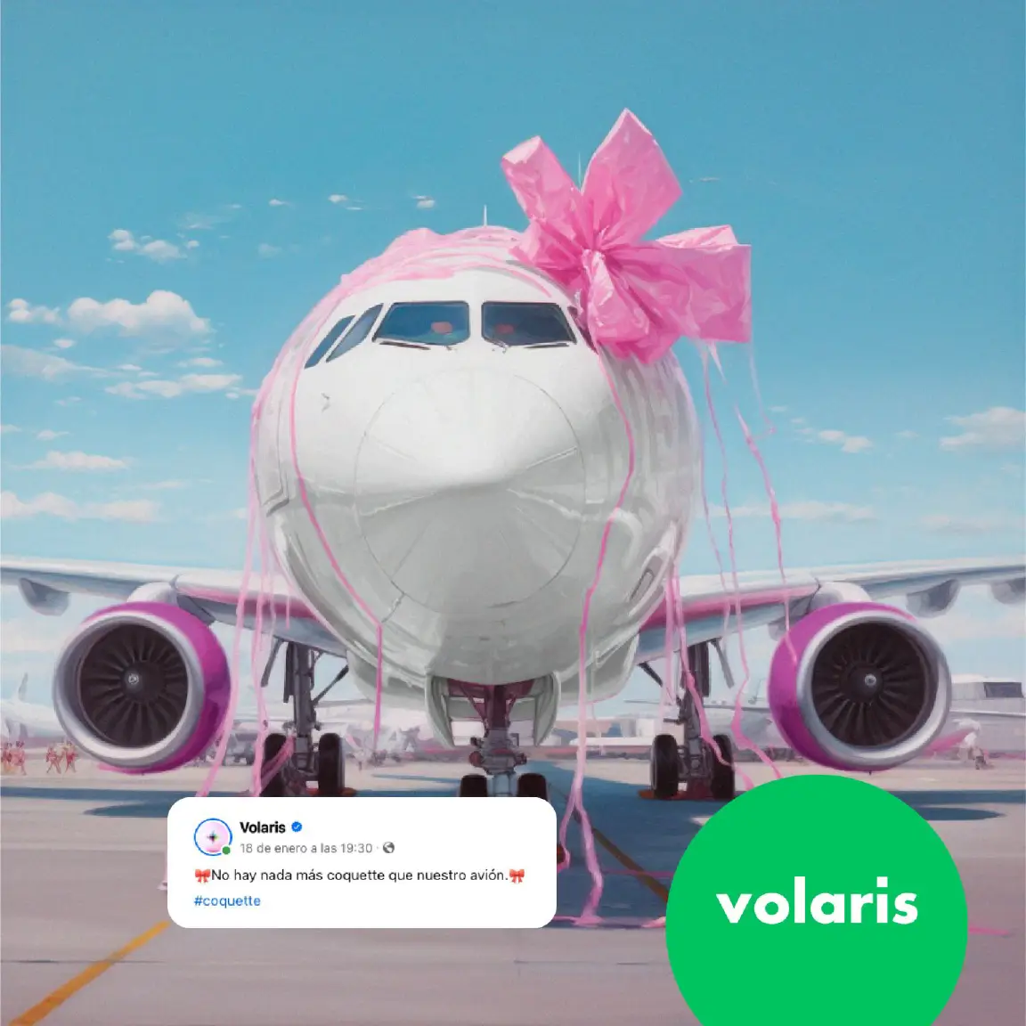 coquette volaris